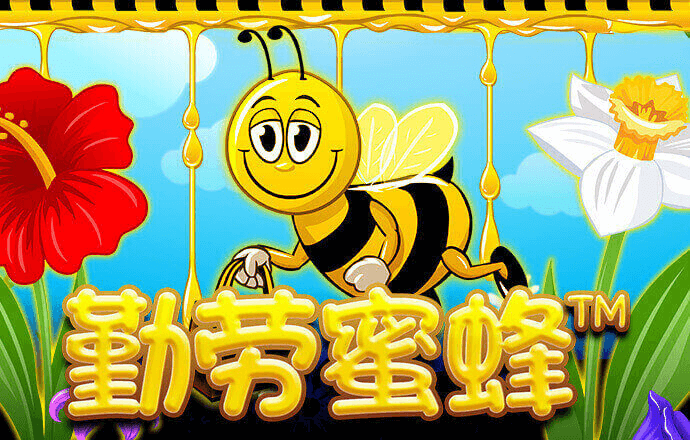 BB体育平台官网艾弗森